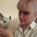  ., , 45  -  17  2017    