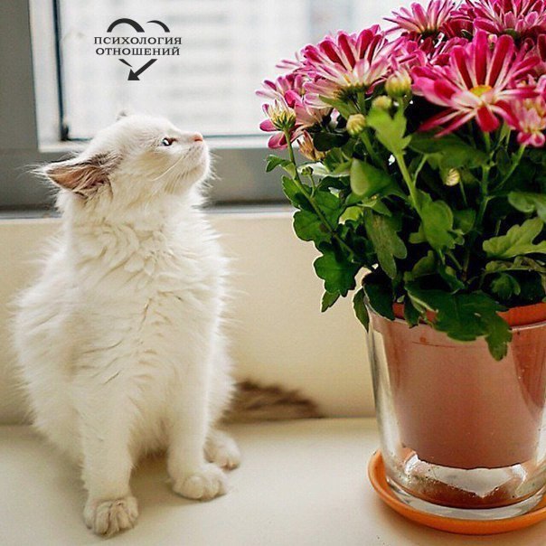    ,  ... ,  ... ,  ...  ...