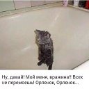  Sergey, , 60  -  27  2017