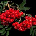 ���� ������, ������ - ��������� 5 ������� 2016 � ������ ���� ����������