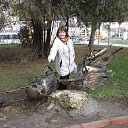 ���� ����, ���������, 52 ���� - ��������� 9 ����� 2017