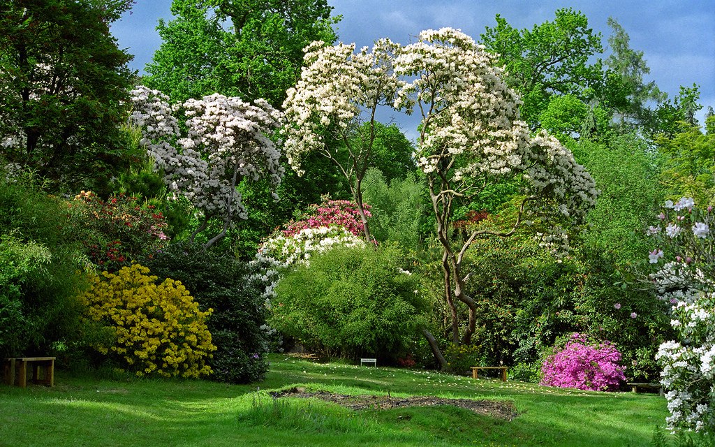 ))). Leonardslee Gardens (  ) , Horsham, West Sussex    ... - 6