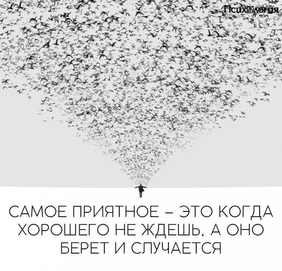  - 20  2017  13:03