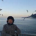 ���� �������, �����������, 66 ��� - ��������� 25 ������ 2017 � ������ ���� ����������