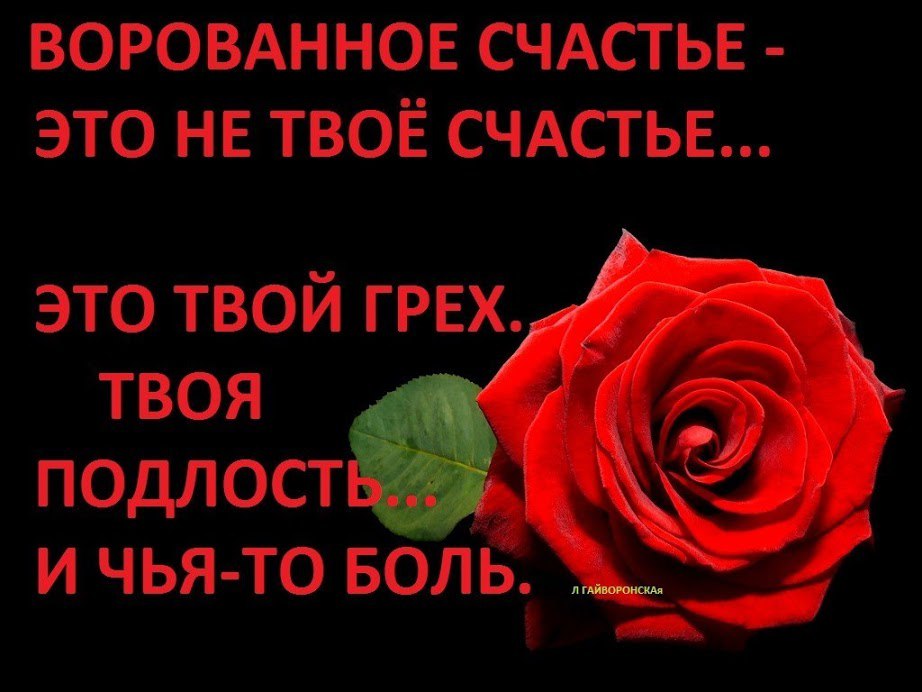 Стихи, Цитаты, Мысли. - 10 сентября 2016 в 15:00