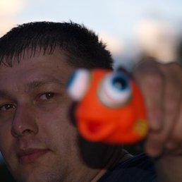 ������, ������� ��������, 45 ���