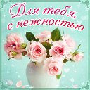 ���� ������, ���������� - ��������� 18 ������ 2016