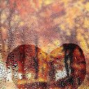 ���� �������, ����� - ��������� 31 ������� 2016 � ������ ���� ����������