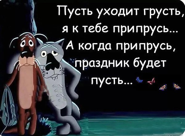  - 6  2017  12:21