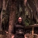 ���� �������, ���� - ��������� 11 �������� 2016 � ������ ���� ����������