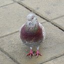 27.09.2016 �� ������� ������� ��������)))�