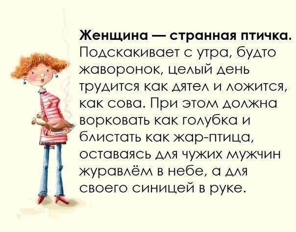      - 29  2016  11:10