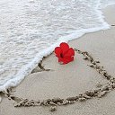 ���� �����, ���� - ��������� 16 ������� 2016 � ������ ������ ��������