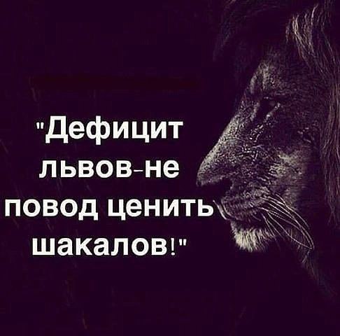  - 29  2016  19:18