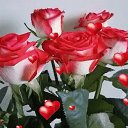      ,  , 50  -  25  2016   