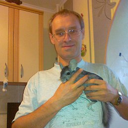 ������, ����, 52 ����