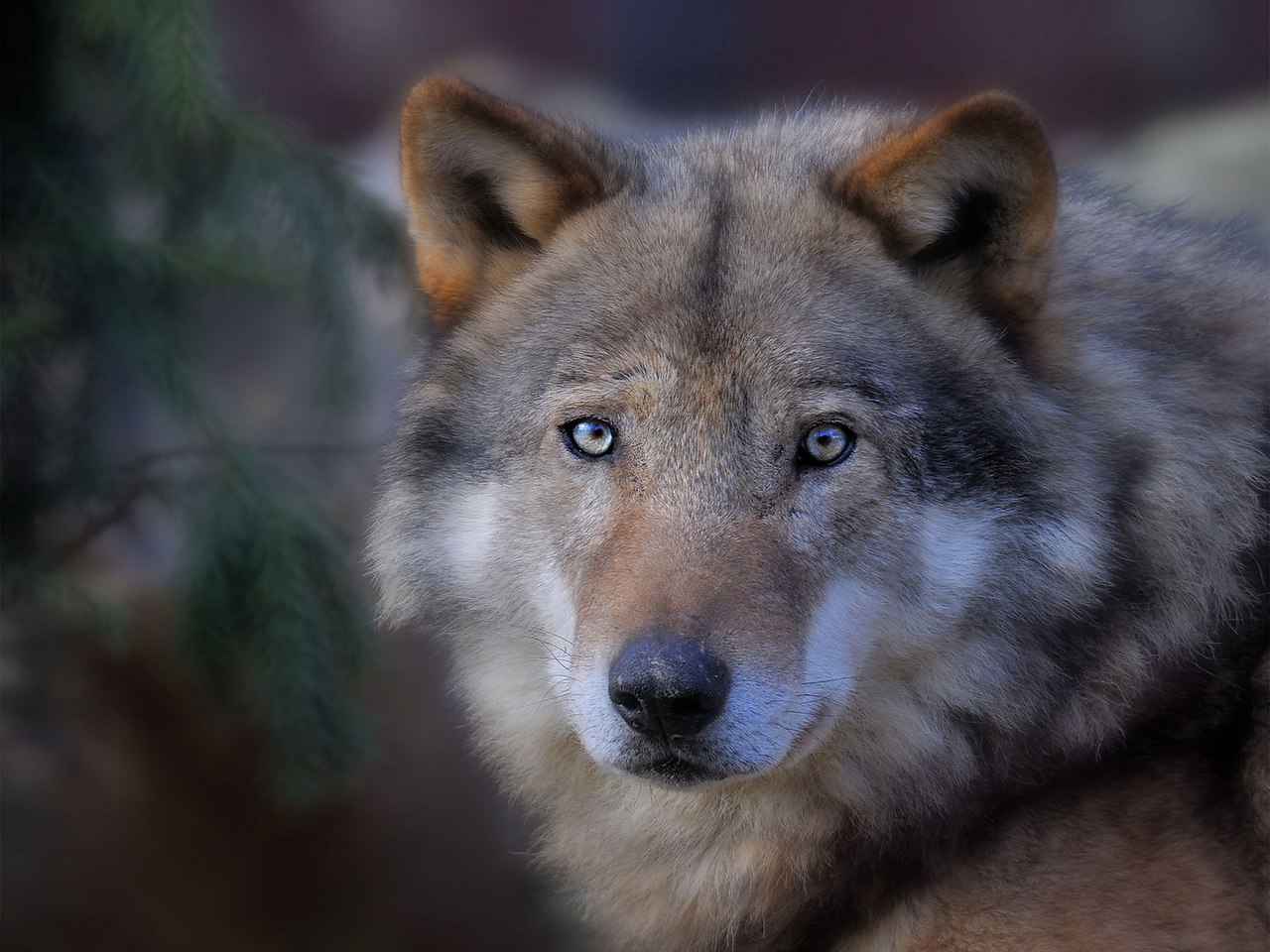 ������ �����! - 29 ������� 2016 � 22:49