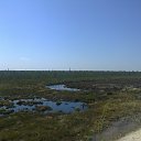 ���� �������, ������, 48 ��� - ��������� 24 ����� 2017