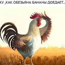  ,  -  2  2017   2017