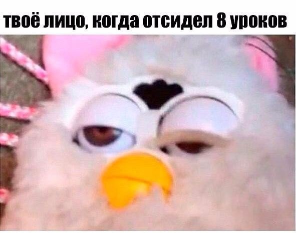   - 2  2016  14:32