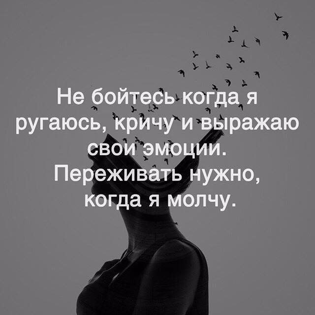    - 4  2017  04:23