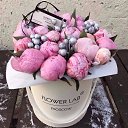 ���� �������, ������, 49 ��� - ��������� 8 ������� 2016 � ������ ���� ����������