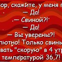 ���� ����������, ���������� - ��������� 3 ������� 2016 � ������ ������ ��������