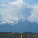  ,  -  25  2017     2016