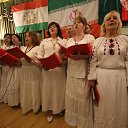   , , 52  -  22  2017   )))))))))))