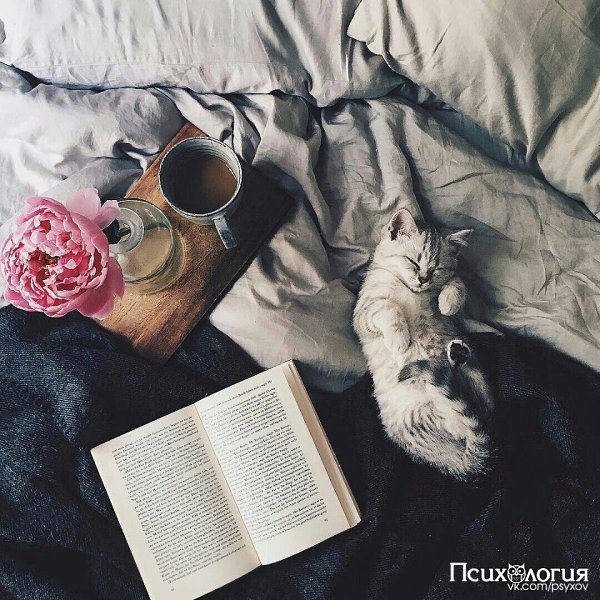 ТОП-8 книг, которые откроют Вам глаза на многие вещи.1.