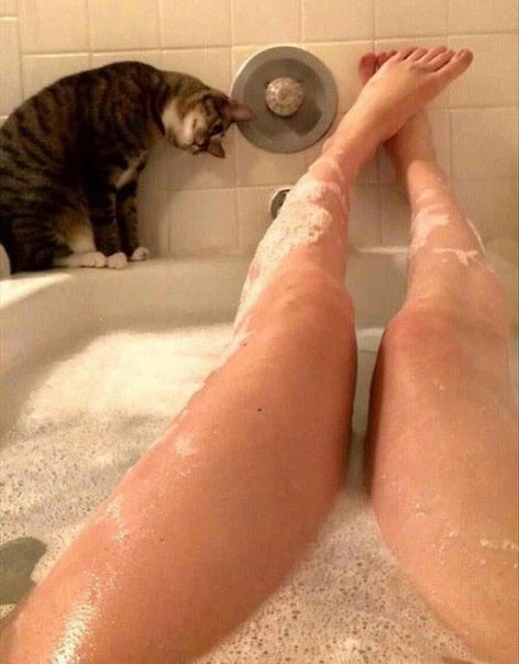         =^.^= - 7