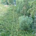 ���� �������, ����� - ��������� 7 ������� 2017