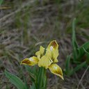  , --, 44  -  20  2016    - 2015