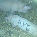 ���� ������, ������, 42 ���� - ��������� 25 ����� 2017 � ������ ���� ����������