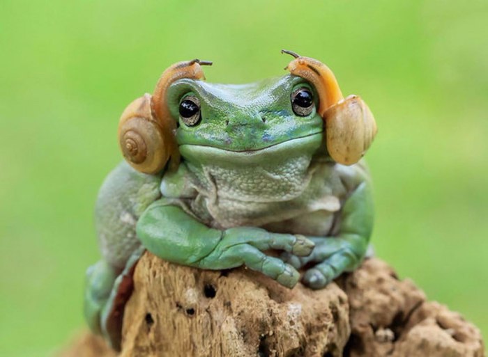 ))). 