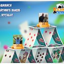 ���� �������, ��������, 60 ��� - ��������� 4 ������ 2017 � ������ �������� �������-�������