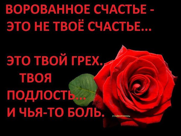 , , . - 10  2016  15:00