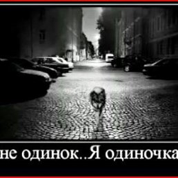 ���������, ��������, 46 ���