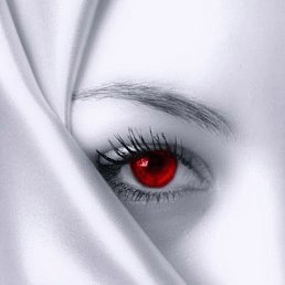 �����, �������, 43 ����