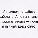 ���� Pavel, �������, 37 ��� - ��������� 24 �������� 2016 � ������ ������ ��������
