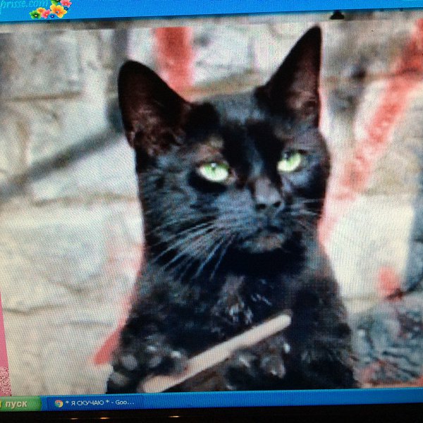 � ������ �������� ���� ���, � � ����� ���������� �����. ���� ����, ��� ����� ������� � �� ���� �� ...