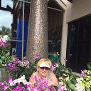 ���� ��������, ������ - ��������� 28 ������ 2017 � ������ �������..����� ��� 2017.�