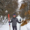 ���� ����, ����, 37 ��� - ��������� 22 ������ 2017 � ������ ���� ����������