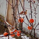 21.02.2017. ������-��������� �� �������) �� ������� ������� ��������)))�