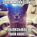���� ������, ��������, 42 ���� - ��������� 29 �������� 2016 � ������ �cat�