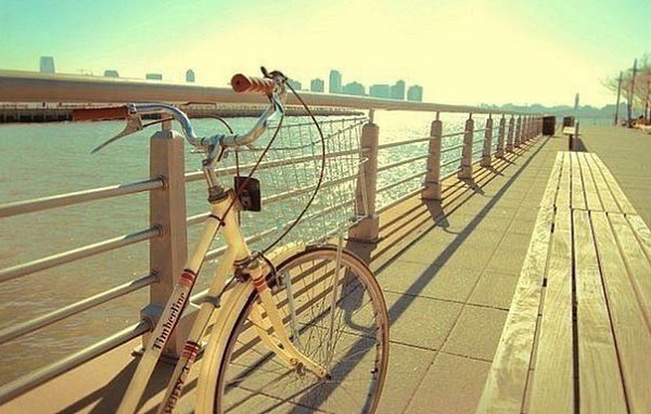 12 ������ ������� ���������. 1. ���� �� ����, ��� �������� ������������ ������������ ��������, �� ...