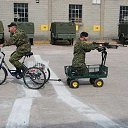 ���� ������, �����������, 38 ��� - ��������� 2 ������ 2016 � ������ ������ ��������