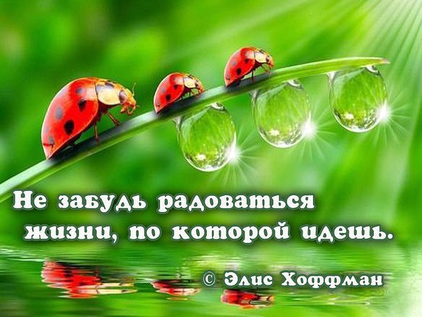 ))).Учитесь радость создавать!Учитесь Радость создавать,Творить внутри себя погоду:Такую - чтобы ...