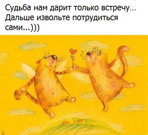   - 10  2017  13:52