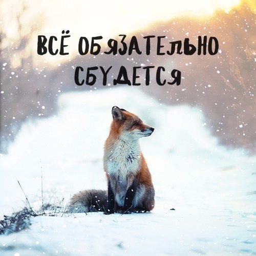 ���� � ������� - 21 ������ 2017 � 06:06